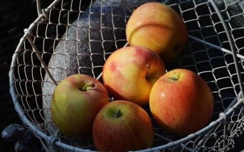 每天吃一个苹果对身体有什么好处?