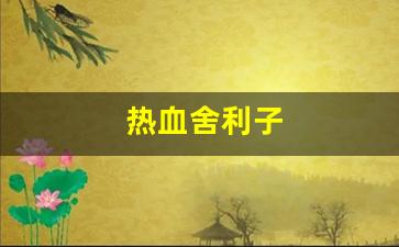 热血舍利子(血肉舍利子) (3)