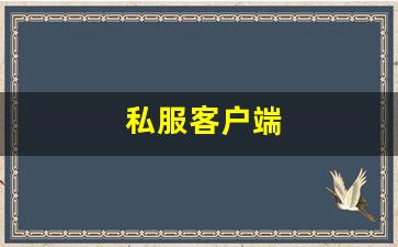 新开一秒sf：私服客户端 (14)
