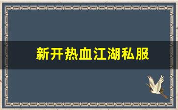 新开热血江湖私服 (8)