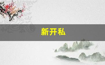 新开私(新开私股) (4)