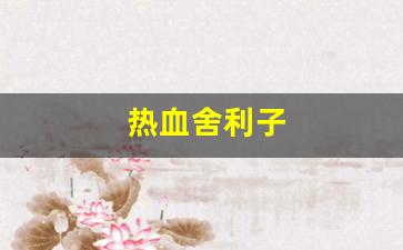 新开私服：热血舍利子(动作片舍利子)