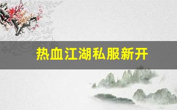 热血江湖私服新开 (14)