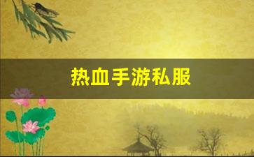 热血手游私服(热血游戏手游) (2)