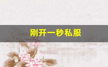 刚开一秒私服(新开一秒传奇sf网站)