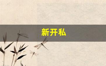 私服客户端：新开私(新开私人仓库)