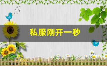 私服刚开一秒(刚开一秒单职业传奇sf) (3)