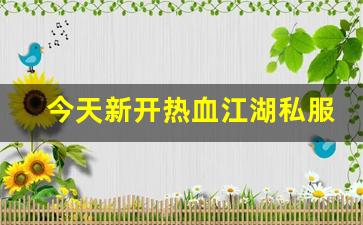 热血江湖贴吧：今天新开热血江湖私服 (9)