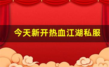 今天新开热血江湖私服 (7)