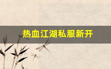热血江湖私服新开 (8)