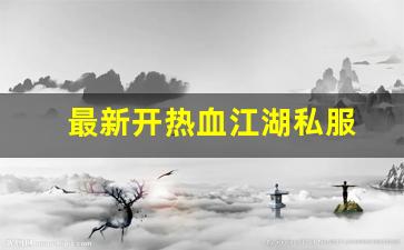 最新开热血江湖私服 (4)