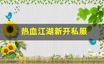热血江湖新开私服 (2)