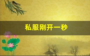 热血江湖吧：私服刚开一秒(刚开一秒单职业传奇sf) (2)