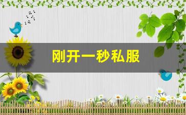 刚开一秒私服(刚开一秒单职业sf)