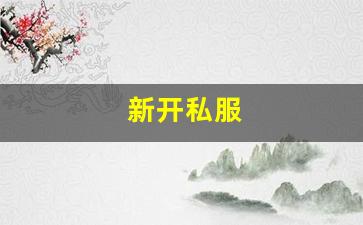 新开私服(传奇新开服网站大全) (10)