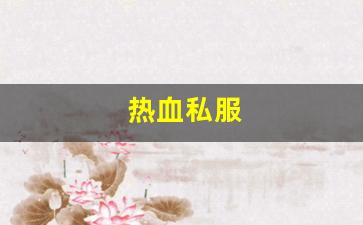热血私服(热血gm) (3)