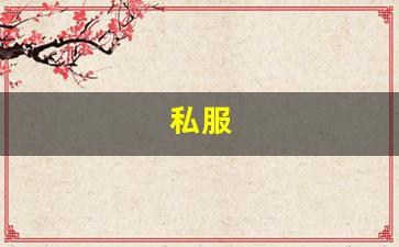 私服(魔域私新开服手游) (2)